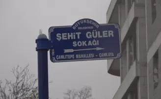 Başkent’te fırtınada devrilme ihtimali olan ağaca halatlı önlem
