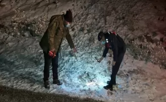 Başkent’te kurtlar dokuz koyunu telef etti
