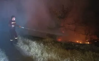 Başkent’te ormanlık alanda yangın
