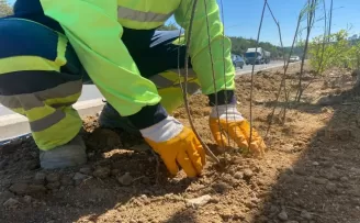 Başkent’te peyzaj çalışmaları hız kesmeden devam ediyor
