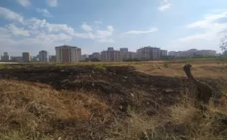 Başkent’te yıldırım düşen otluk alanda yangın çıktı
