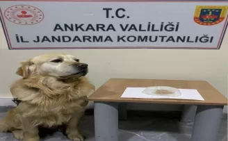 Başkent’teki uyuşturucu operasyonlarında 9 gözaltı
