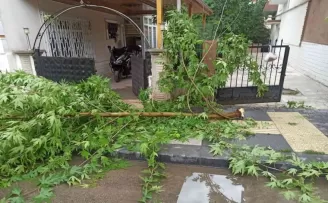 Başkentte fırtına etkili oluyor
