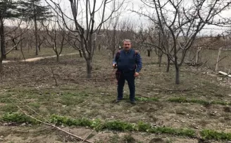 BBP Genel Başkanı Destici ağaç budadı
