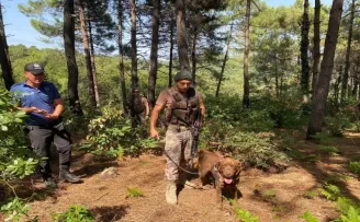 Beykoz’da ormanlık alanlarda denetim
