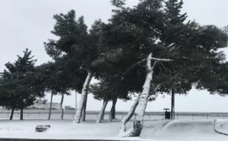 Beylikdüzü’nde kar yağışı devam ediyor
