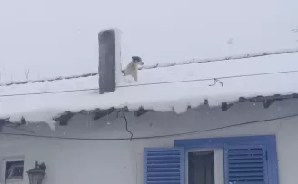 Bilecik Pazaryeri’nde kar altında kurtarma operasyonu