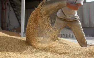 Bitkisel yağ ihracatı zirvede... Ege Bölgesi’nden 268 milyon dolarlık başarı