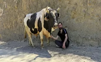 Boğası ve koyunu ile kurduğu iletişim dikkat çekiyor
