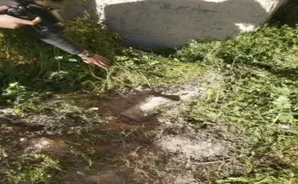 Bombalı eylem hazırlığında olan 4 PYD/YPG terörist yakalandı
