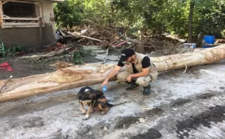Bozkurt’ta yürekleri ısıtan görüntü
