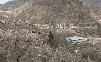 Bu ağaçlar bahara son kez 