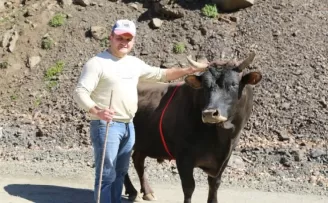 Bu boğa ismi ile korkutuyor
