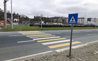 Bu yaya geçidinin sonu çimenliğe çıkıyor
