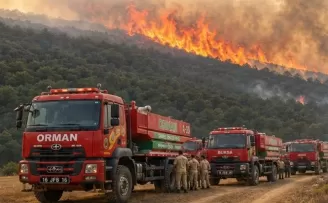 Bursa’da orman yangını! Havadan ve karadan yoğun müdahale