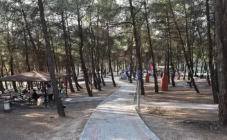 Bursa’da ormanlara giriş yasağı 15 Ekim’e kadar sürecek
