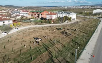 Bursa İnegöl’de 572 fidanlı koruluk Akhisar’a nefes oldu