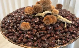 ’Bursa Kestanesi’nin geleceği masaya yatırıldı