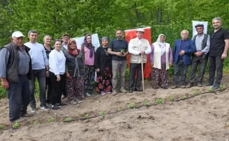 Bursa Osmangazi Belediyesi’nden tarımsal üretim adımı