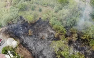 Büyükçekmece’de ağaçlık alanda yangın

