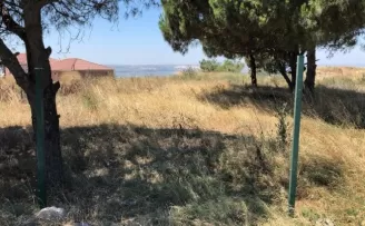 Büyükçekmece’de dehşet
