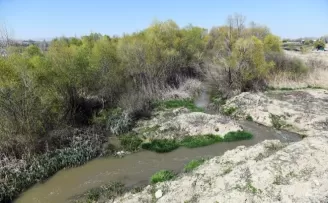 Büyükşehir vektörle mücadelesine hız verdi

