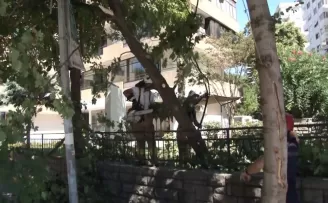 Cadebostan’da ağaç, elektrik direğinin üzerine devrildi

