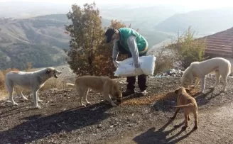 Çankaya Belediyesi 56 saatlik kısıtlamada sokak hayvanlarını unutmadı
