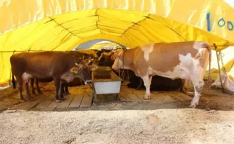 Çankaya’da kurban satış alanı için başvurular 18 Haziran’da başlıyor
