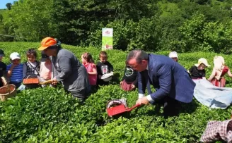 Çay İşletmeleri’ne personel atamalarında 40 yaş şartı aranmayacak