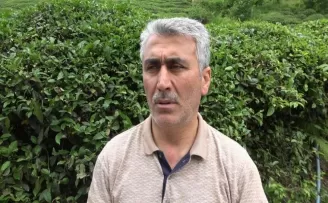 Çayın birinci sürgününden çay üreticileri memnun
