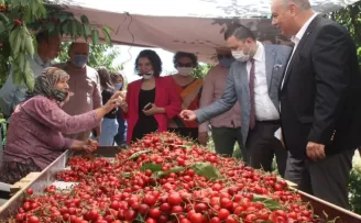 Çeribaşı Kirazı’na coğrafi işaret tescili