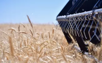 CHP’li Milletvekili Ün’den TMO’nun fiyatlarına sert tepki