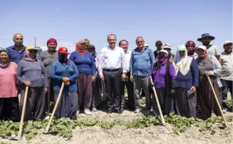 Çiftçinin yüzünü güldüren hamle