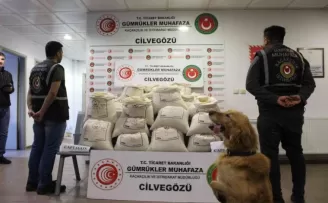 Cilvegözü’nde iki tırda 2 milyon 422 bin uyuşturucu hap ele geçirildi
