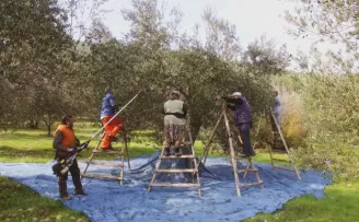 Coğrafi işaretli ürünlere talep hızla artıyor
