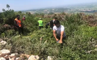 Defne, TÜRKPATENT tarafından ‘Türk’ ibaresi ile tescillenen ilk ürün oldu
