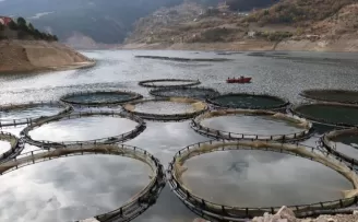 Denizi olmayan Gümüşhane’den Somon ihraç ediliyor

