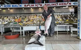 Denizlerde balık bolluğu yaşanıyor
