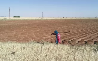 DSİ, sulama sezonu kapsamında faaliyetlerine devam ediyor

