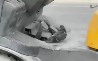 Düzce’de forkliftte seyahat eden kuş gülümsetti