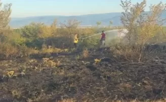 Düzce Konuralp’te örtü yangını kontrol altında