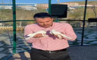 Endemik Vadi’de keçi yavruları dünyaya gözlerini açtı
