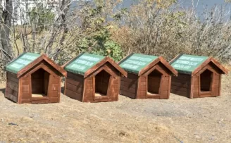 Esenyurt Belediyesi hayvan dostlarını unutmadı
