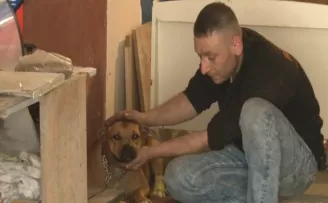 Esenyurt’ta köpeğe pompalı tüfekli saldırı anı kamerada
