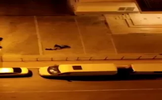 Esenyurt’ta şiddet gören köpek koruma altına alındı
