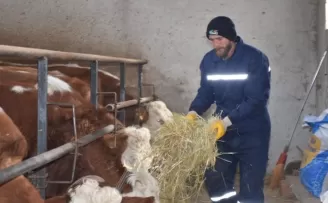 Eski hükümlü Mesut Akan devlet desteğiyle hayvancılığa başladı
