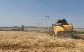 Eskişehir’de 77 tonluk arpa hasadı