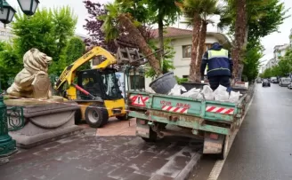 Eskişehir’de Köprübaşı palmiyeleri sahaya çıktı