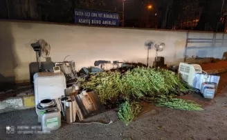 Evin bodrum katını uyuşturucu serasına çevirmiş
